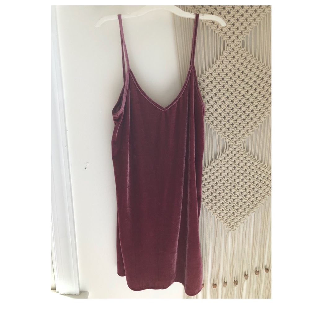 Vestique Velvet Dress